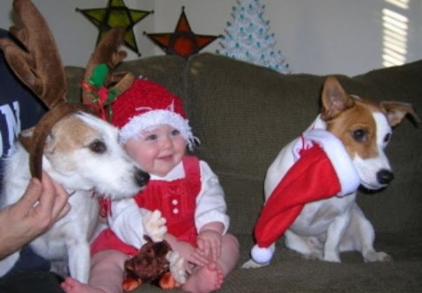 В чем встречать Новый 2014 год Лошади.