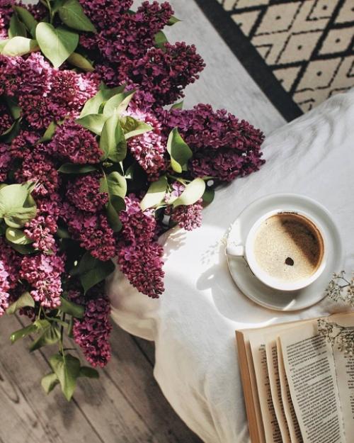 Научное исследование: сколько чашек кофе можно пить в сутки? 01 Научное исследование: сколько чашек кофе можно пить в сутки? 01