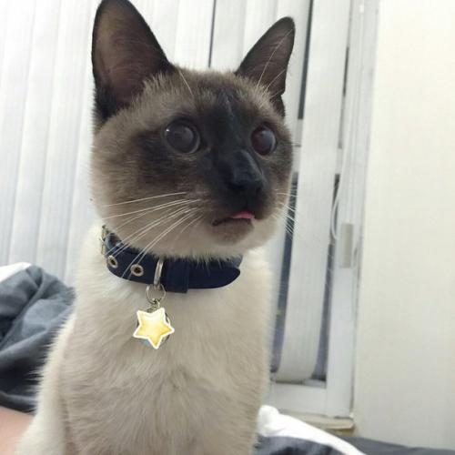 Мы красим красиво ресницысоветы? 01