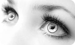 Питательная сыворотка для роста ресниц Pro Visage.