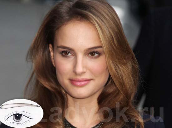 Брови, коррекция, большая форма бровей. 06 Брови, коррекция, большая форма бровей. 06