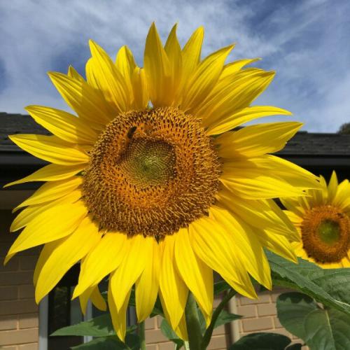 Как с утра выглядеть хорошо? 03