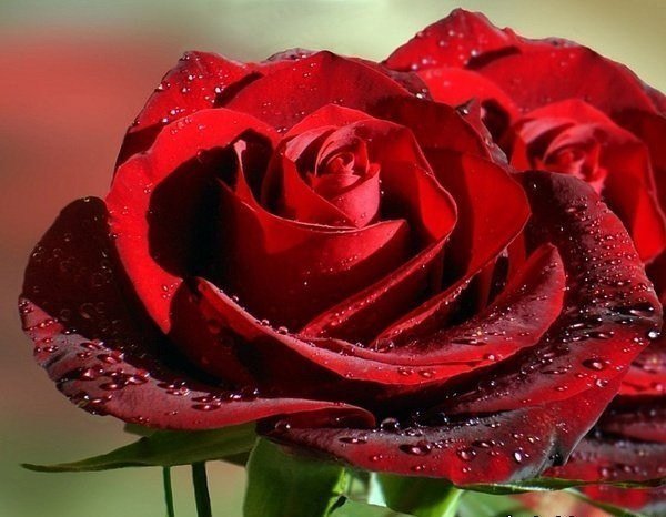 Экспресс программа красоты к 8 марта. 01