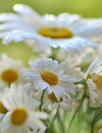 Экспресс программа красоты к 8 марта. 02