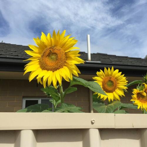 Как с утра выглядеть хорошо? 01