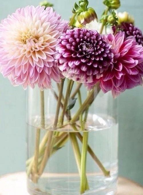 Доброе утро!   Удачного дня. 01