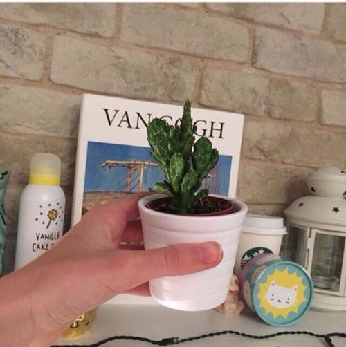 Как правильно пользоваться тушью? 03