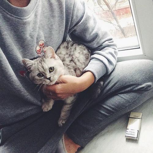 Первый фанфик.  Волшебство зимы. 01