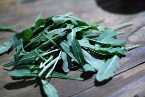 Яркий макияж. Крутые прически. 01