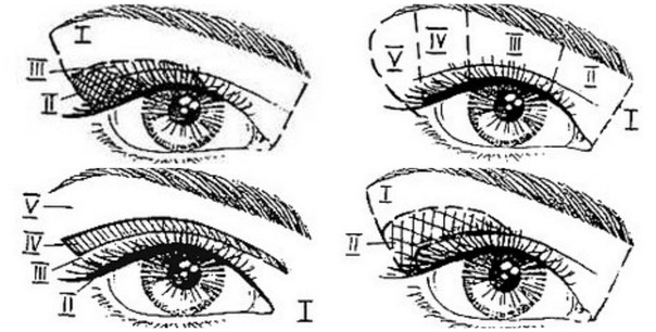 Схема глаза для макияжа