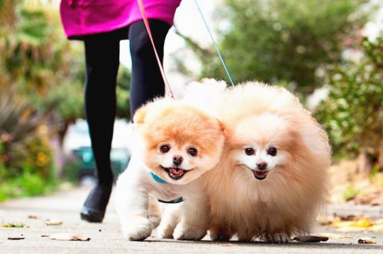 Рекомендации по развитию в себе общительности.