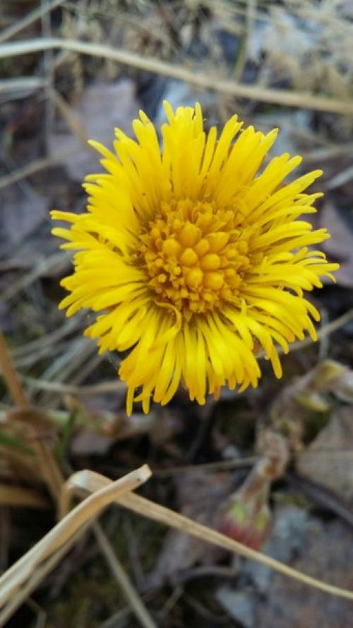 Как хорошо получаться на ФОТО? 01