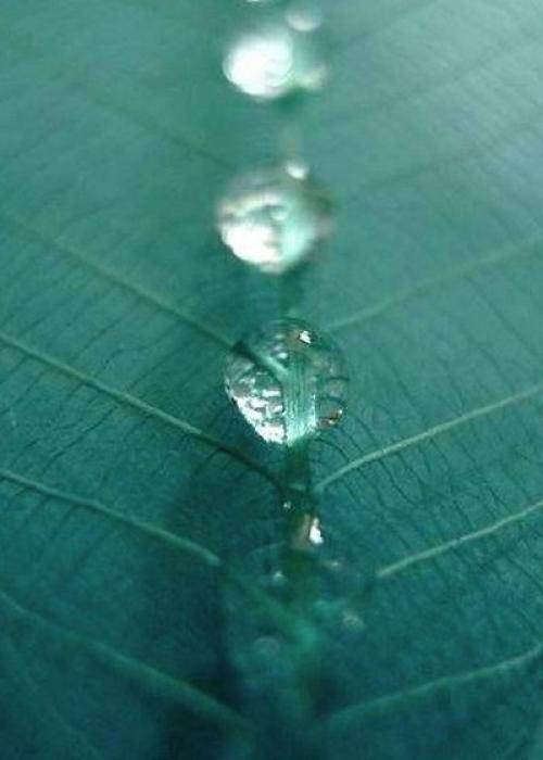 Не выспались?   Долго сидели у компьютера и теперь в глазах чувство сухости или жжения или возникло чувство как Песка Насыпали? 05