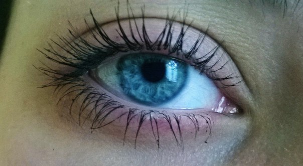 Я люблю в себе всё: пальцы, кисти рук, ноги, глаза, улыбку, нос, грудь, щёки, плечи, ключицы, животик, уши, всё - всё. 02