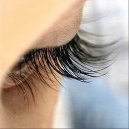 Как быстро отрастить ресницы в домашних условиях. 01 Как быстро отрастить ресницы в домашних условиях. 01