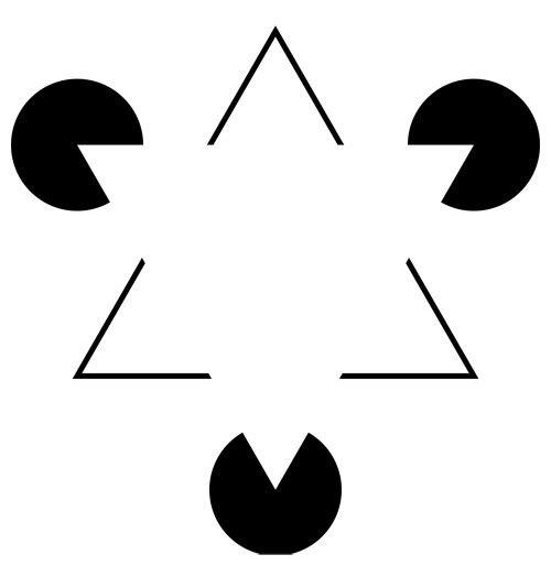 Переобученные нейросети в дикой природе и у человека. 01