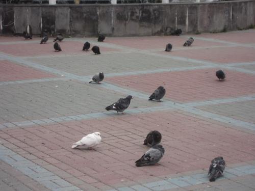 От воров закрыто счастье. 06 От воров закрыто счастье. 06