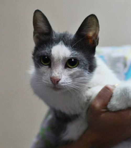 Академия супер-мам представляет. 12 августа в 17.  00 МСК. 01