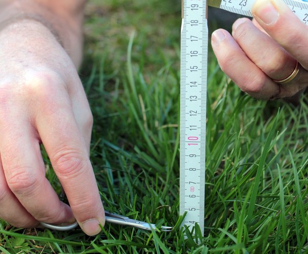 Идея перфекционизма. (Новость от - vk. com/mabet «General»).