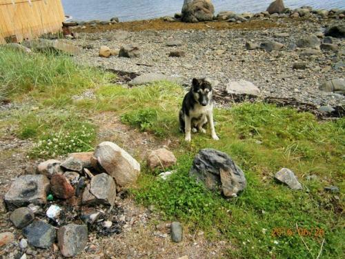 Да не травите вы мне душу своими фотографиями! 01