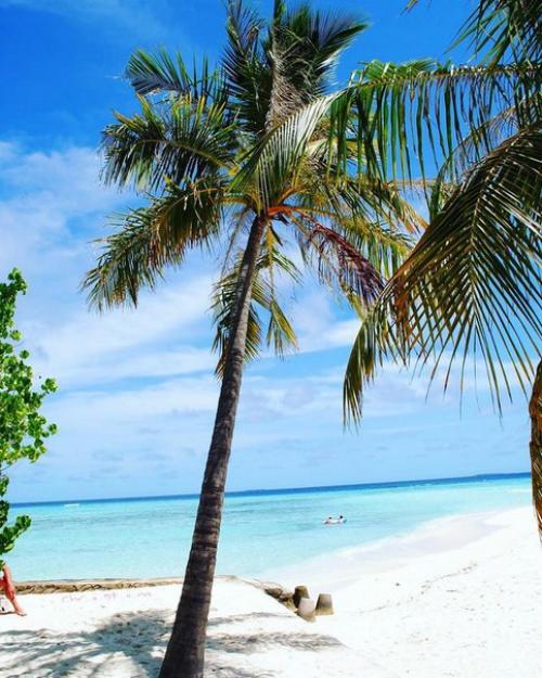 Базовая косметика: что должно быть в косметичке у каждой леди? 03