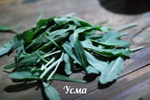 Многие историки считают что именно на Востоке возник культ красоты. 01 Многие историки считают что именно на Востоке возник культ красоты. 01