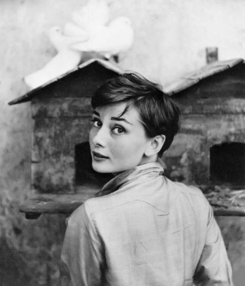 Муза фотографов - Одри Хепберн. 02