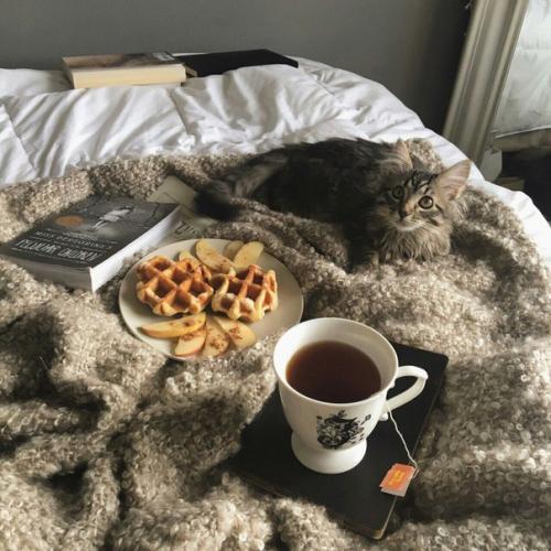 Утренний уход за лицом? 01 Утренний уход за лицом? 01