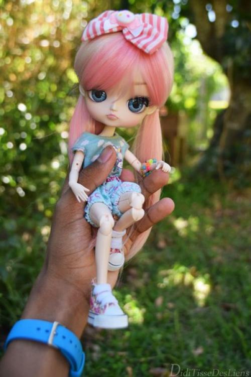 Dal из семейства пуллип. 01