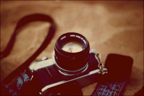 Фотоальбом лета.  Мы забираем к себе на страницу. 03