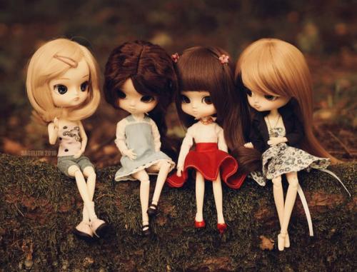 Dal из семейства пуллип. 06