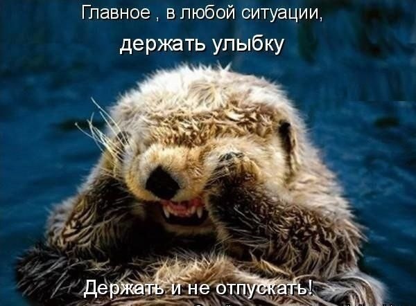 Сегодня День улыбки). Улыбка – самая легко распознаваемая эмоция лица. 01