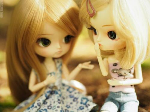 Dal из семейства пуллип. 04