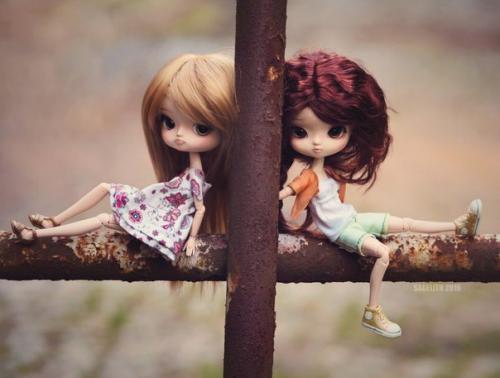 Dal из семейства пуллип. 09