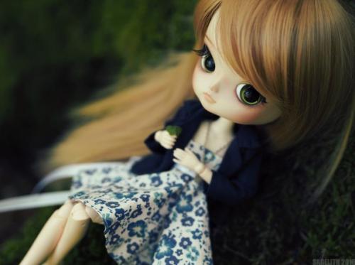 Dal из семейства пуллип. 07