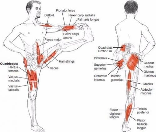 Растяжка для всего тела! 06