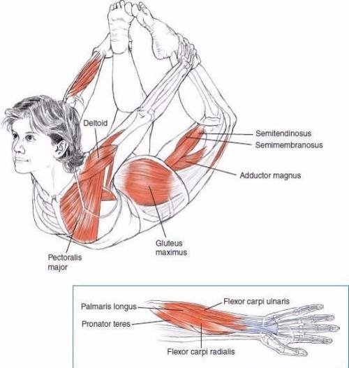 Растяжка для всего тела! 03