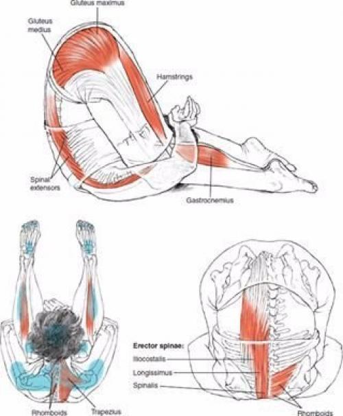 Растяжка для всего тела! 04