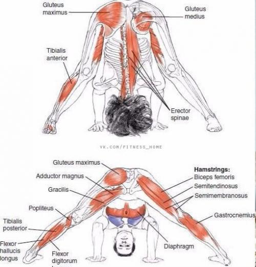 Растяжка для всего тела! 01