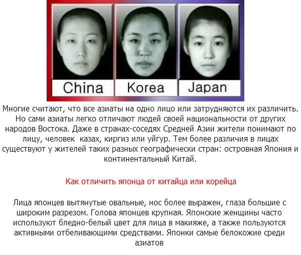 Сравнение русско китайских. Китайцы японцы корейцы различия. Отличить китайца от японца. Внешность китайцев корейцев и японцев. Внешние различия китайцев японцев и корейцев.