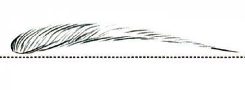 Брови: как найти идеальную форму. 05