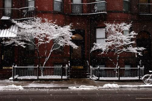 Особенности зимней фотографии, или как снимать на белом снегу. 08