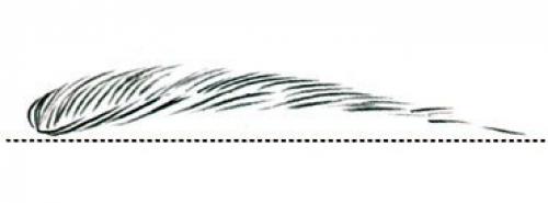 Брови: как найти идеальную форму. 01