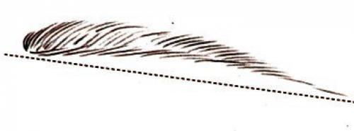 Брови: как найти идеальную форму. 03