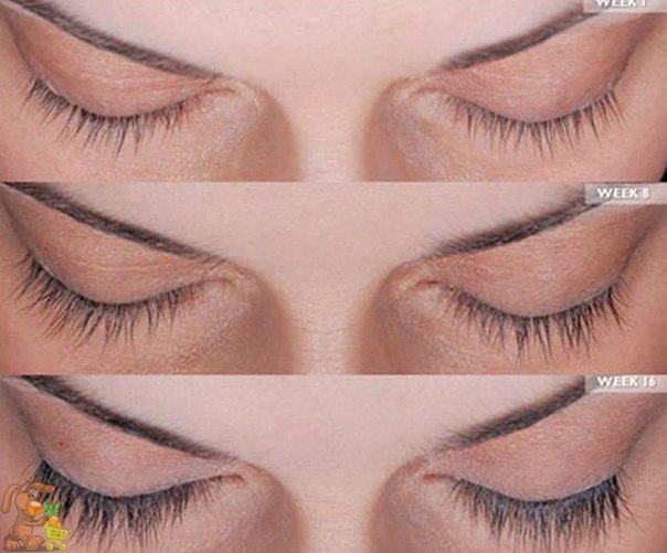 Карепрост – средство для интенсивного роста ресниц. 02