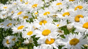 Приятного чтения. Глава 27. 02 Приятного чтения. Глава 27. 02