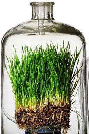 Чем отличается органическая косметика от обычной? Чем отличается органическая косметика от обычной?