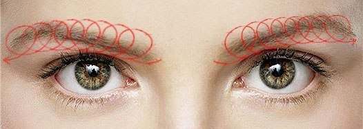 КАК Восстановить Брови. Автор: Alcie (Материал взят с просторов интернета. ). 08