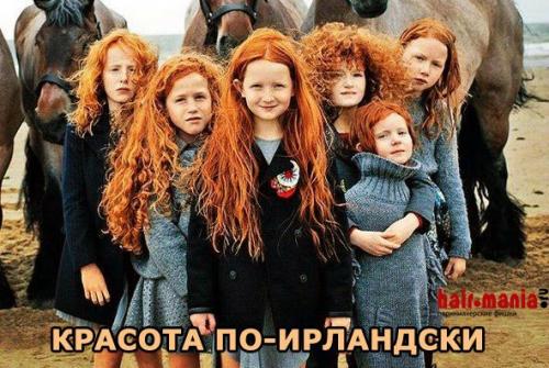 О моих любимых рыжиках! 03