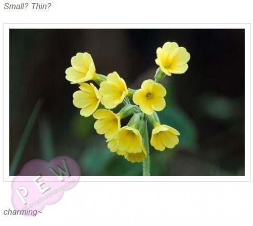 Как насчет повышения самооценки? 05